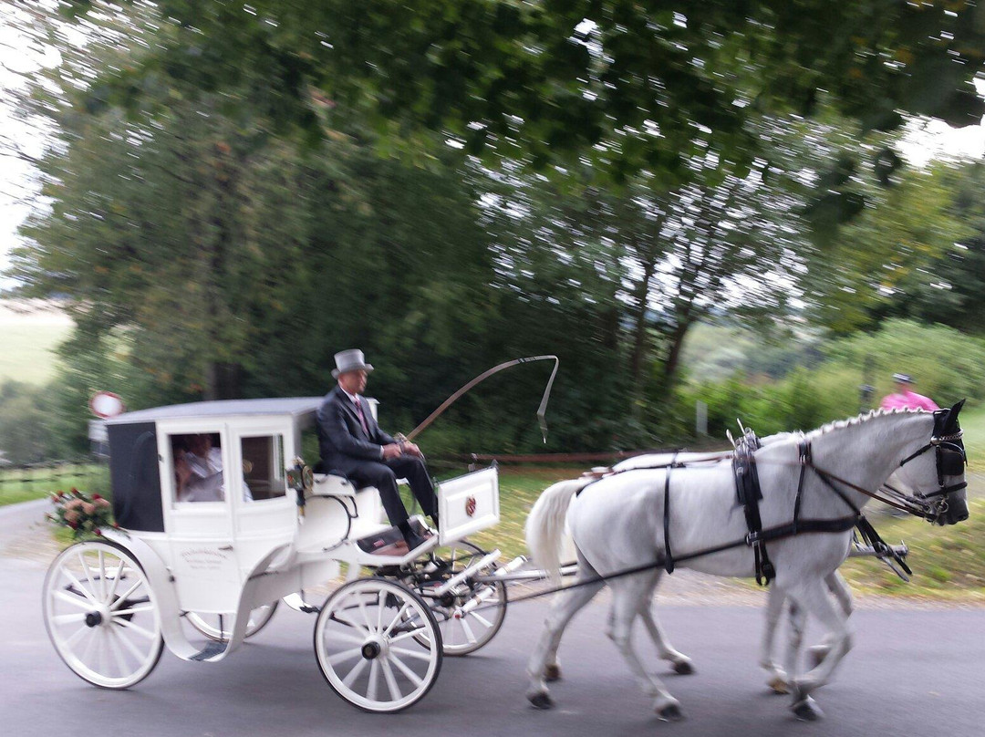 Uferlos Mohnesee-苏斯特必去景点