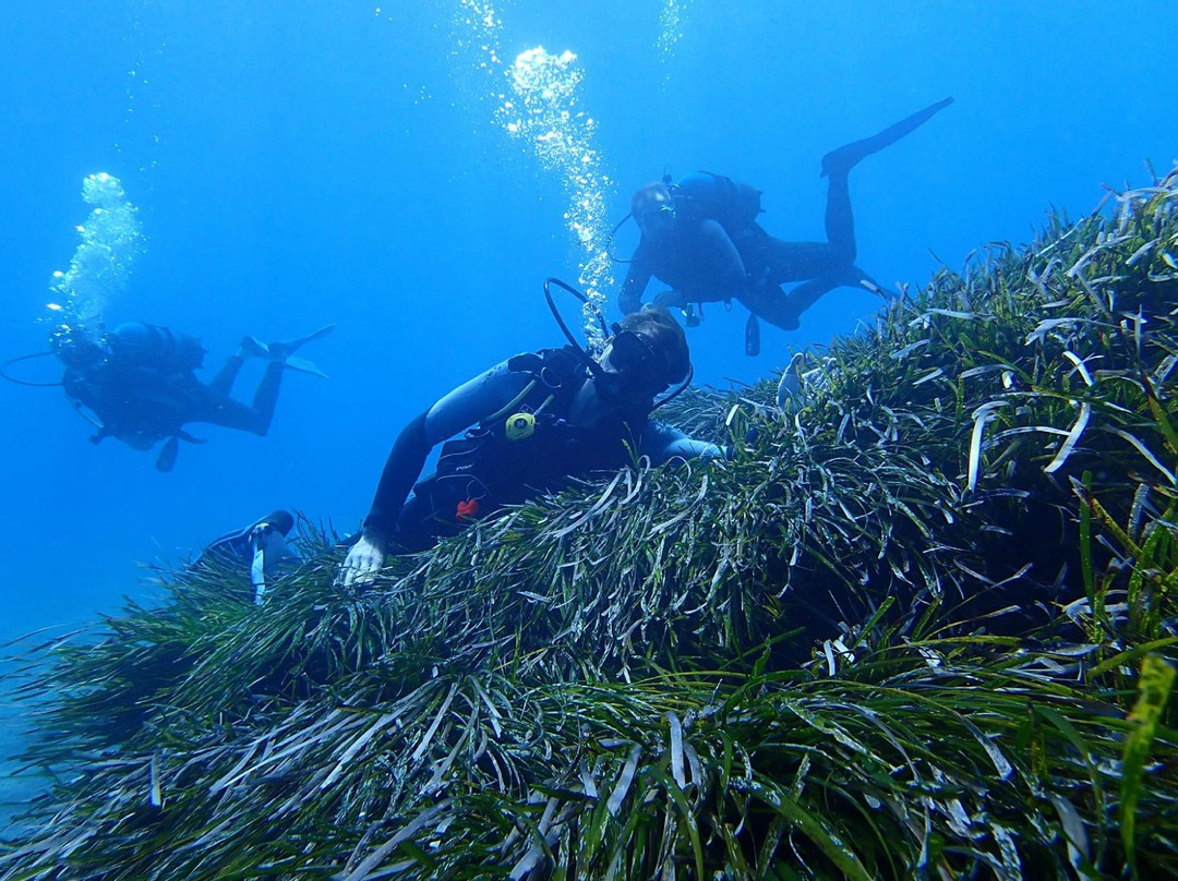 Scuba Dream Diving Centre-Ierapetra必去景点