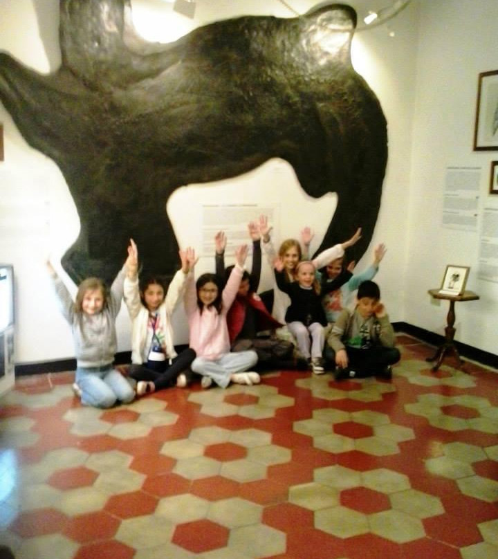 Museo Civico dei Fossili di Besano景点图片