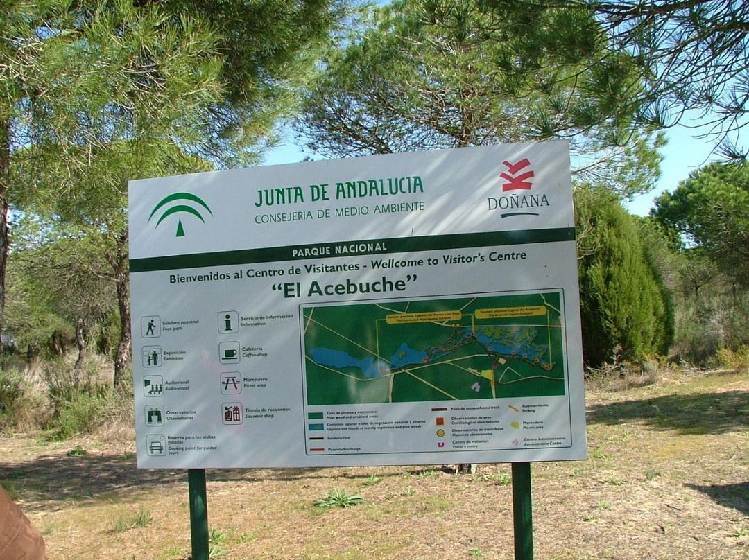 Parque Nacional de Doñana-阿尔蒙特必去景点