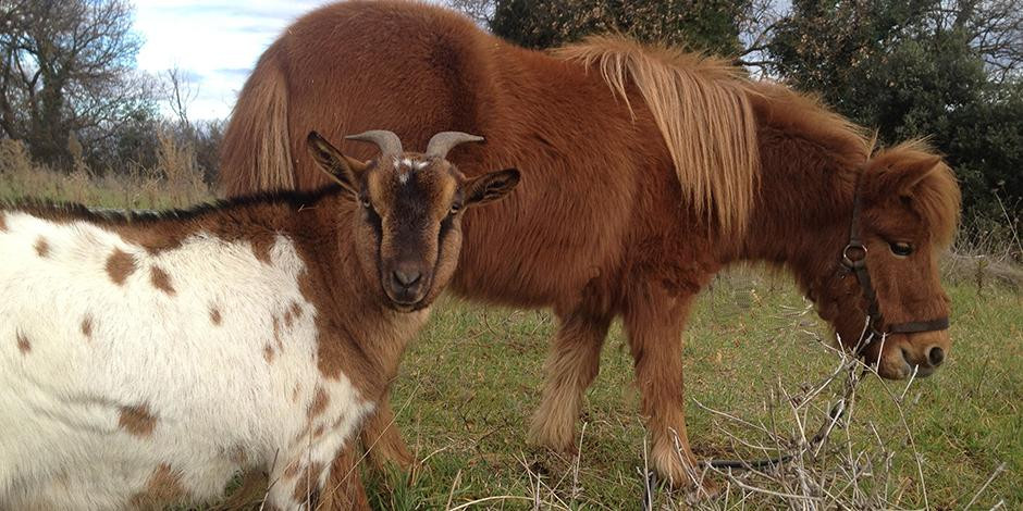 Agriturismo I Casali主图