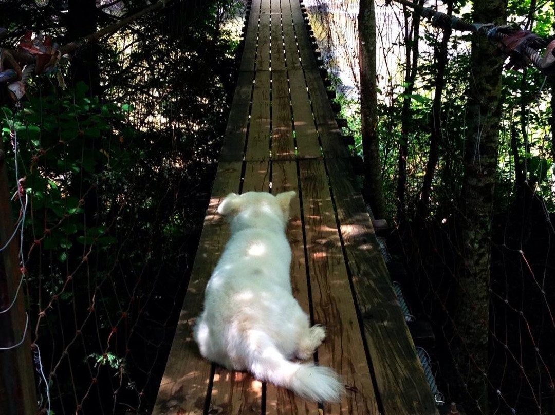 Fall Creek Falls-Spencer必去景点