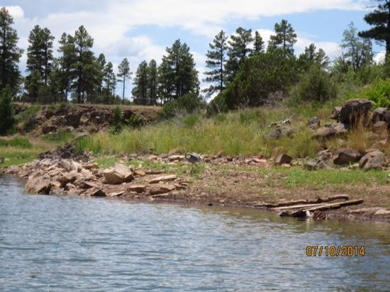 Fool Hollow Lake Recreation Area-肖洛必去景点