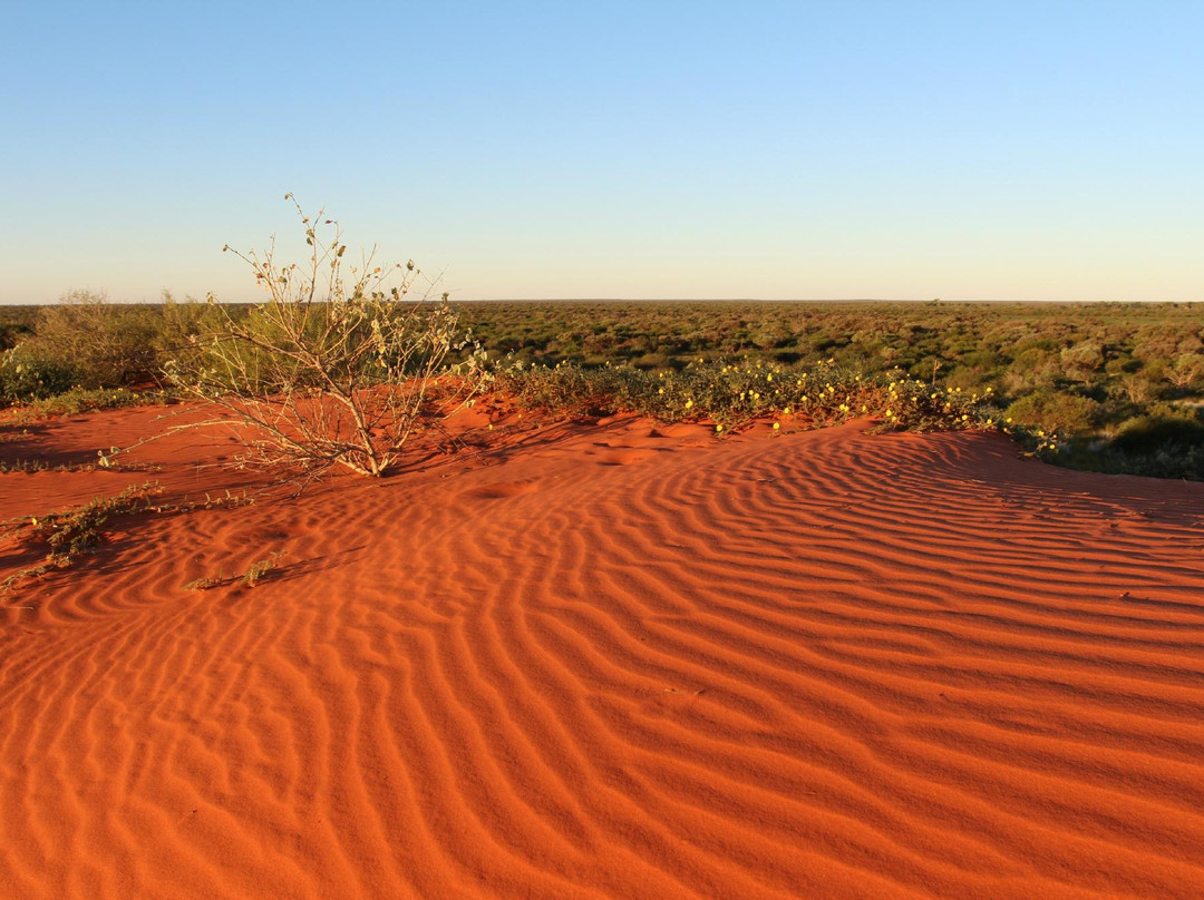 Bullara Station Stay