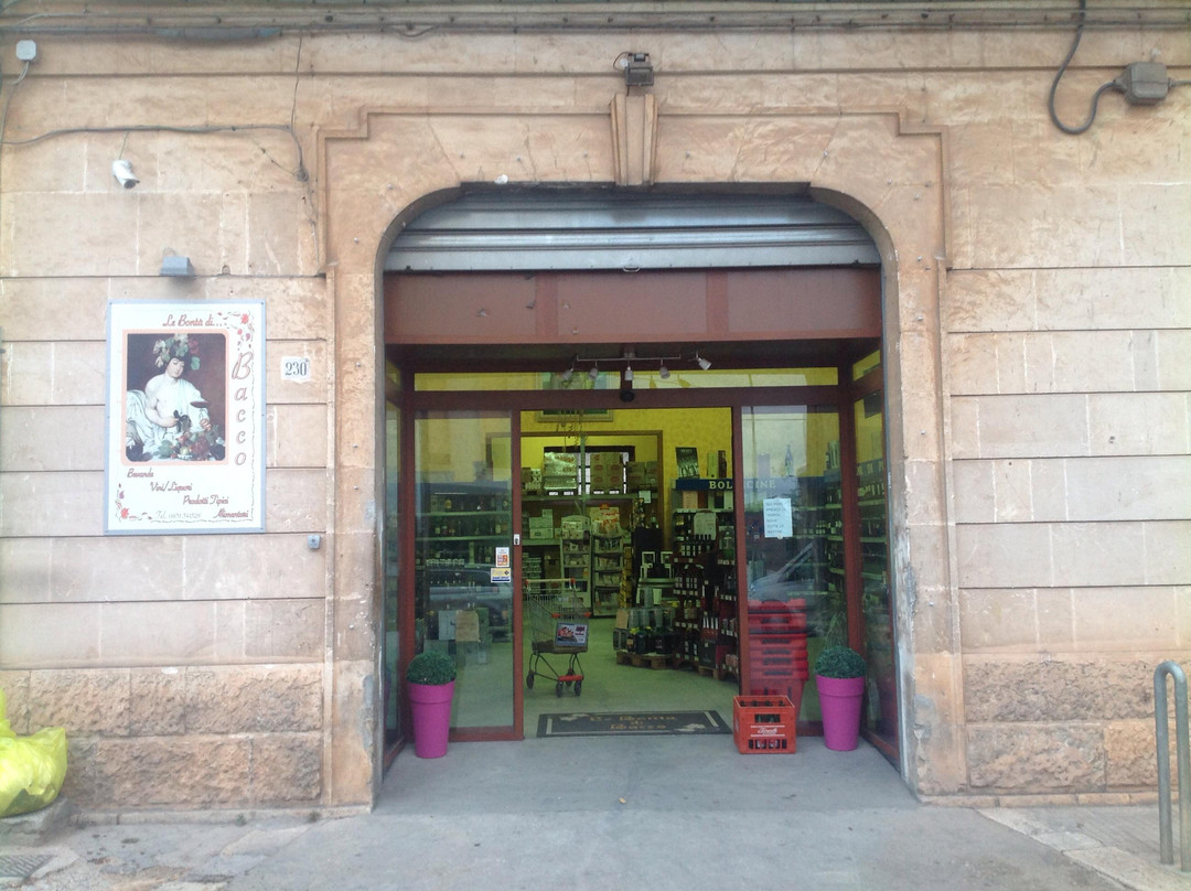 Le Bonta di Bacco Enoteca-奥斯图尼必去景点