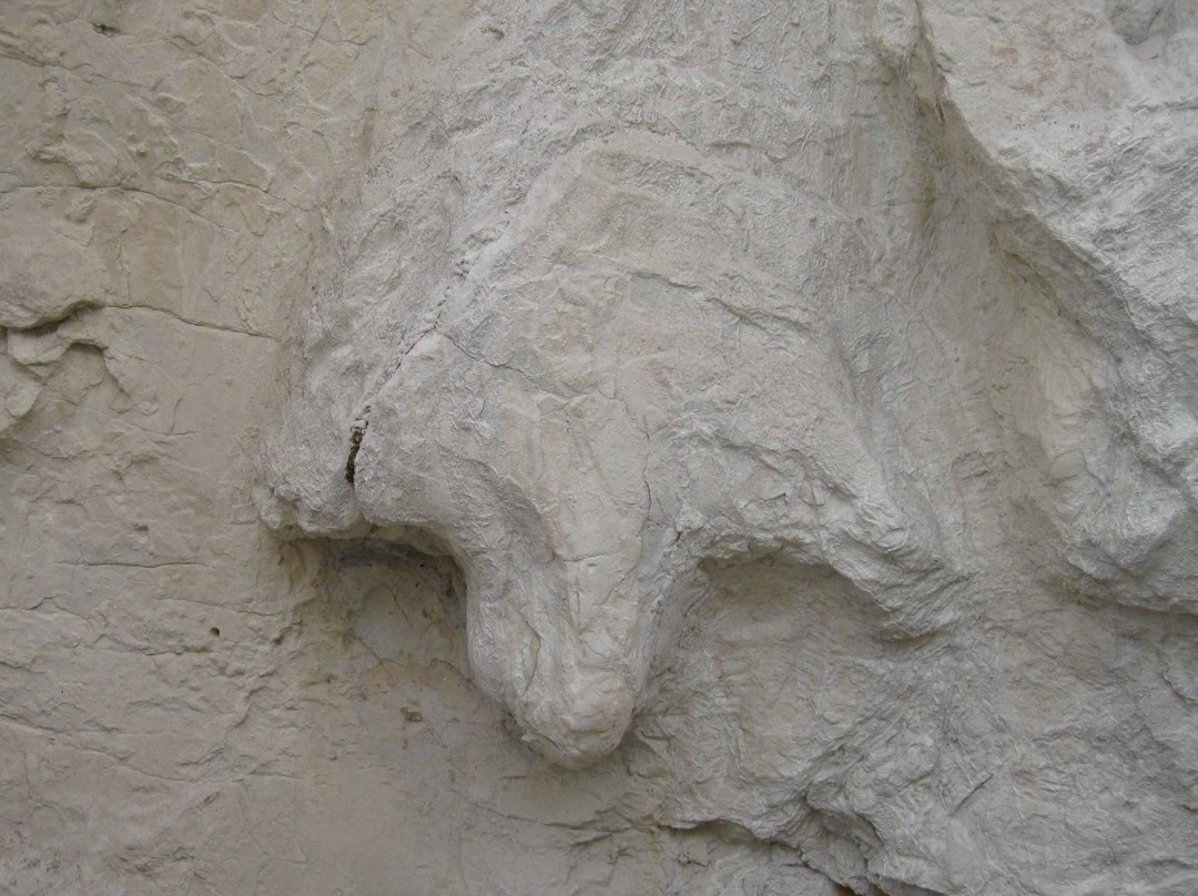 Triceratops Trail-戈尔登必去景点