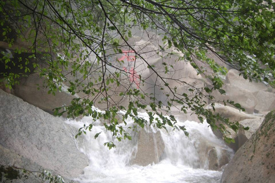 努鲁儿虎山自然保护区-朝阳县必去景点