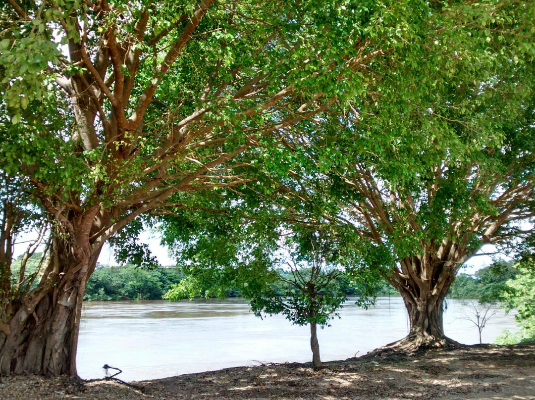 Rio Ji-Parana-Ji-Parana必去景点