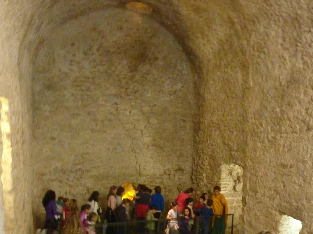Museo Arqueologico los Baños-Alhama de Murcia必去景点