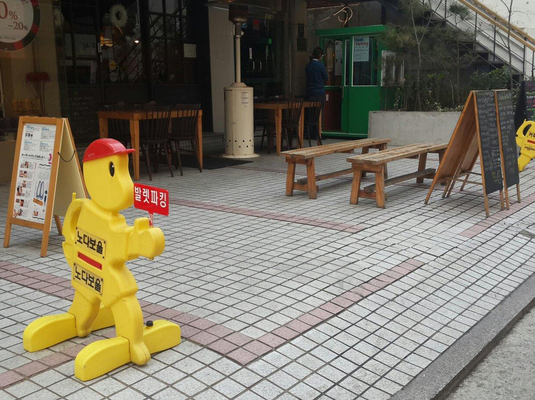 新沙洞林荫树路-首尔必去景点