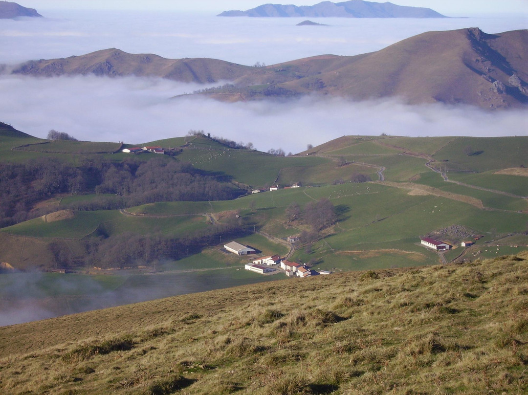 Artzain-Etchea主图