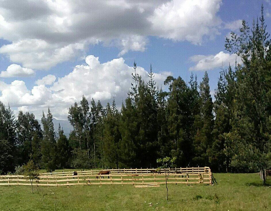 Pasochoa Adventure