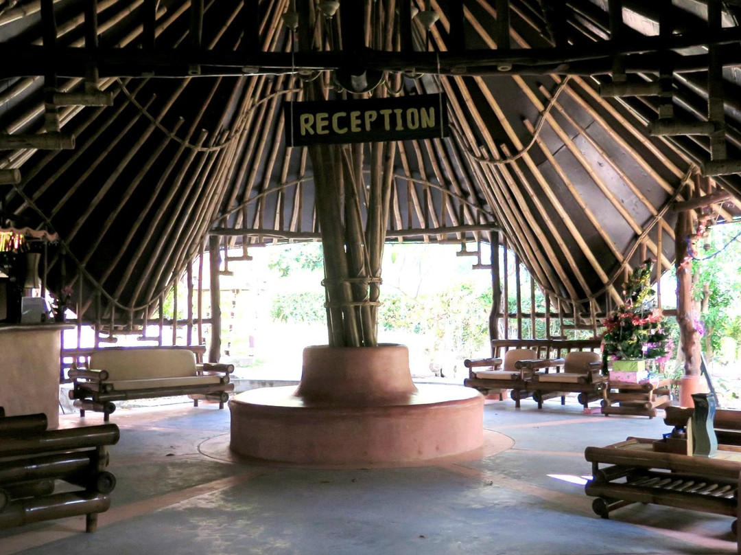 Coral Grand Divers-涛岛必去景点