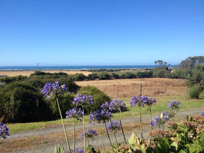 Tower Hill House主图