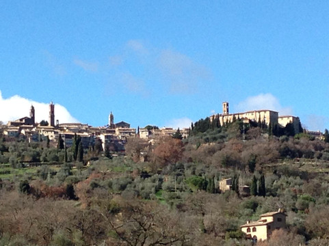 Alessandro Cammilli Private Tours-佛罗伦萨必去景点