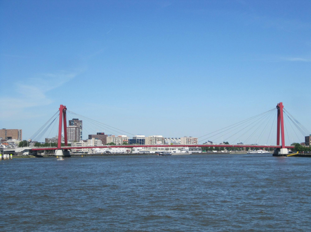 Willemsbrug-鹿特丹必去景点