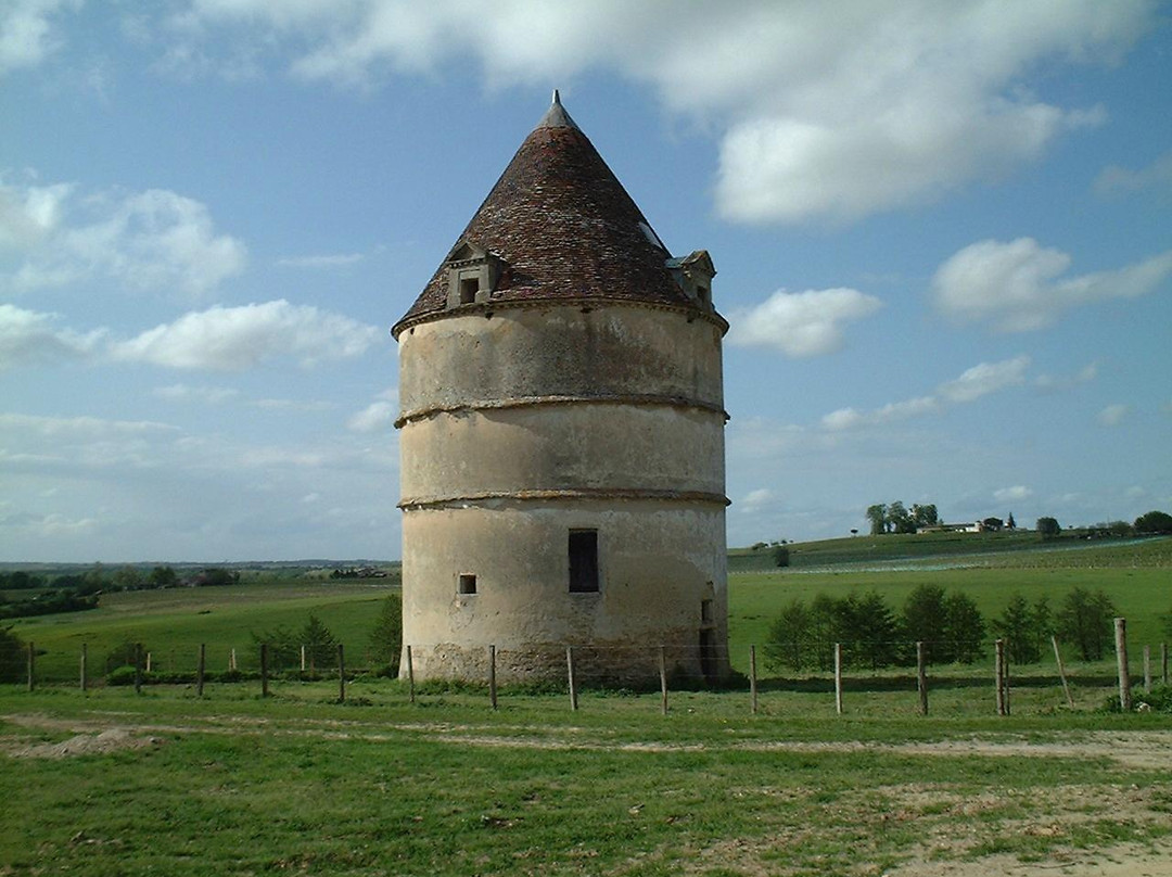 Château Filhot景点图片
