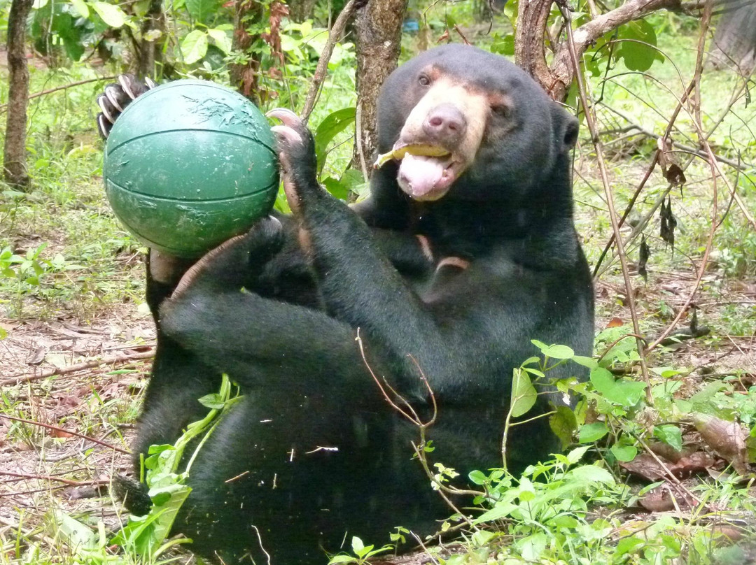 金边野生动物园-金边必去景点