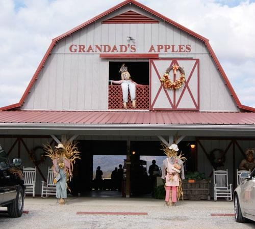 Grandad's Apples景点图片