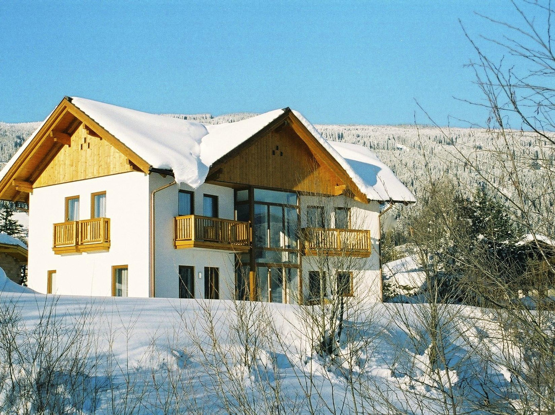 Chalet Das Atrium