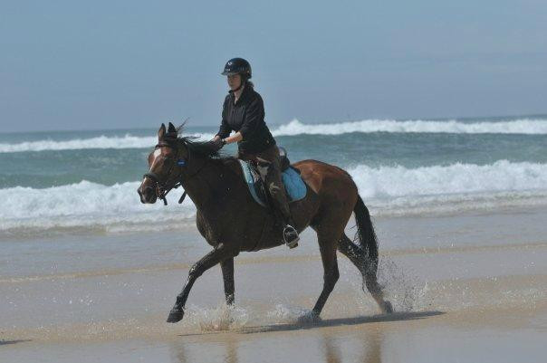 Equestrian Center Lous Chivaus景点图片