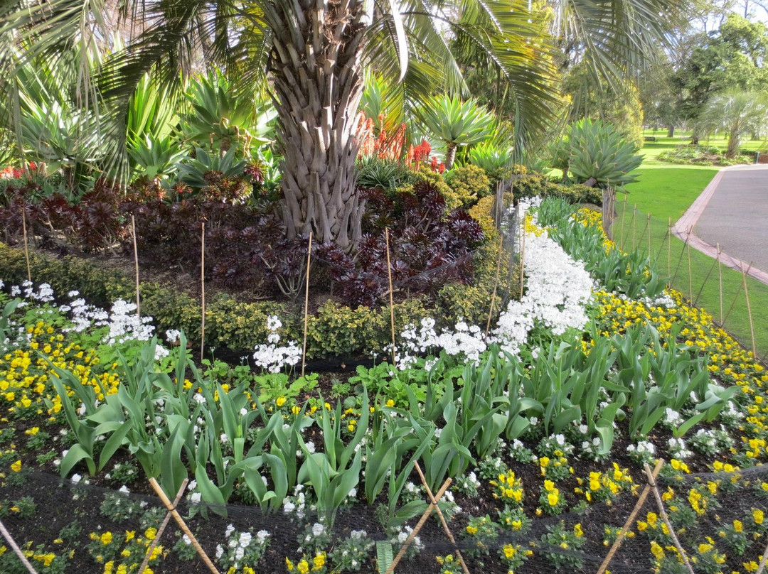 菲茨罗花园-墨尔本必去景点