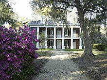 Bayou Land Excursions景点图片