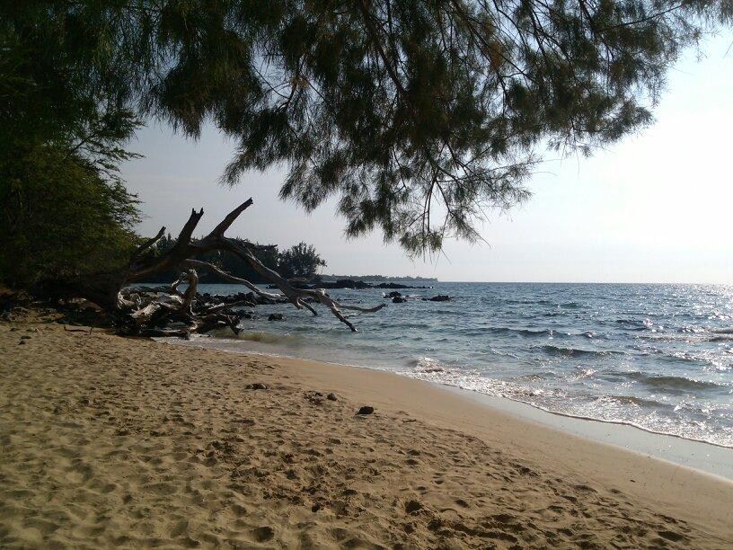 Waialea Beach-卡慕也拉必去景点