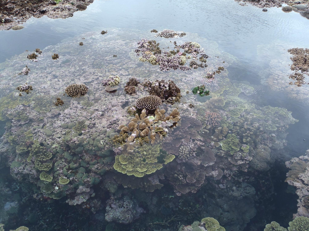 Blue Hole Number Two-塔纳岛必去景点