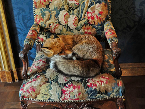 狩猎博物馆-巴黎必去景点