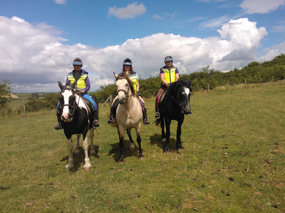 Long Mountain centre log cabins & Pony Trekking景点图片