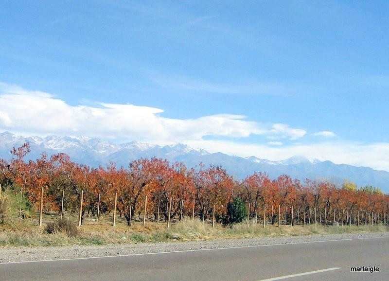 Valle de Uco-Tupungato必去景点