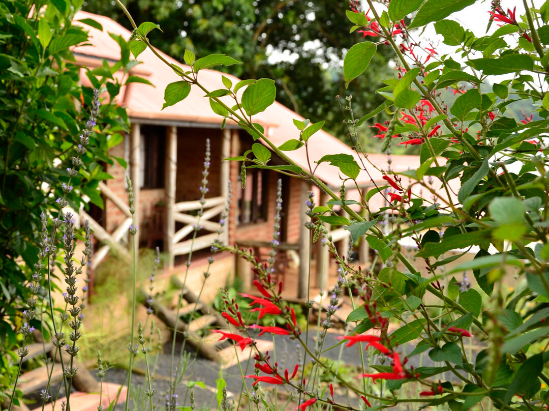 Mbahe Farm Cottages