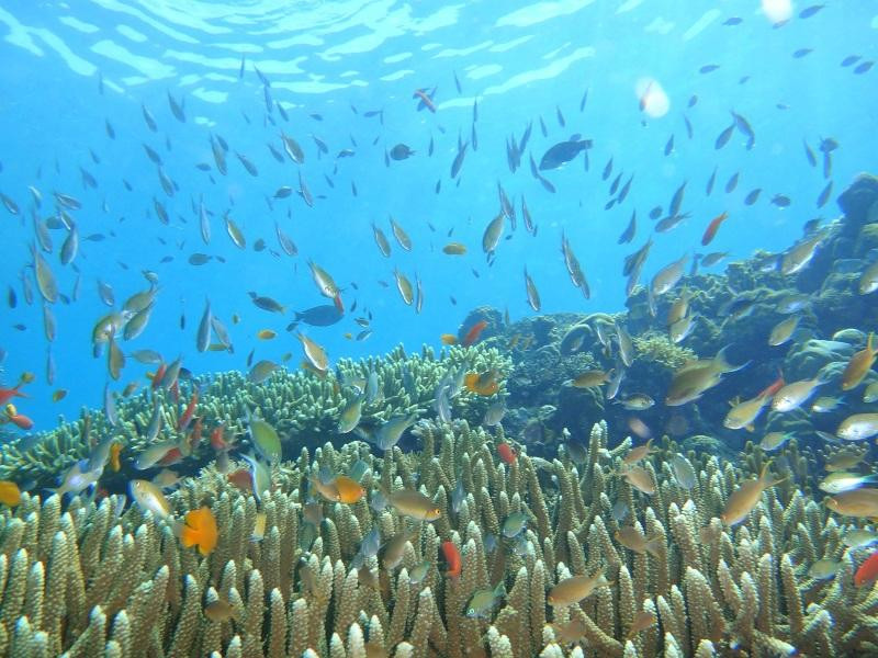 孟赞干岛-佩母德兰必去景点