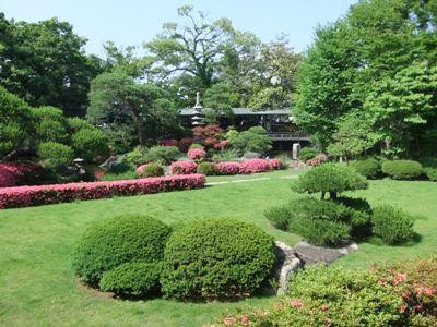 柴又帝释天(帝释天题经寺)-葛饰区必去景点