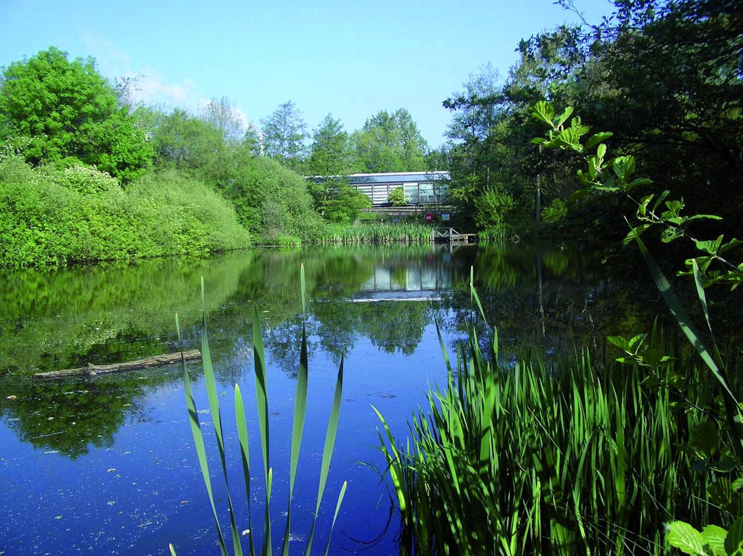 Trafford Ecology Park-Trafford Park必去景点
