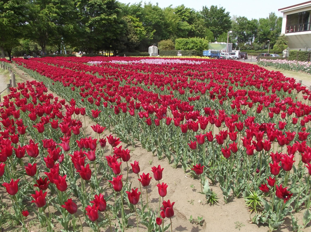 Aqua Paradise Patio-深谷市必去景点