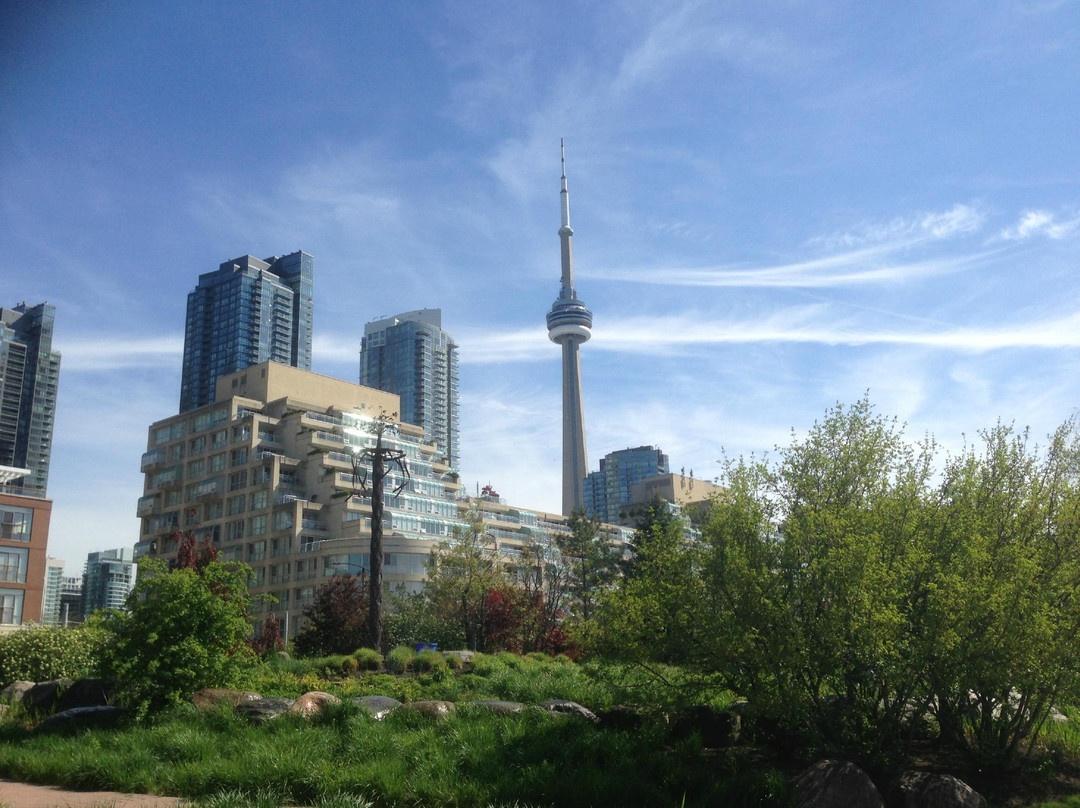 多伦多港湾-多伦多必去景点
