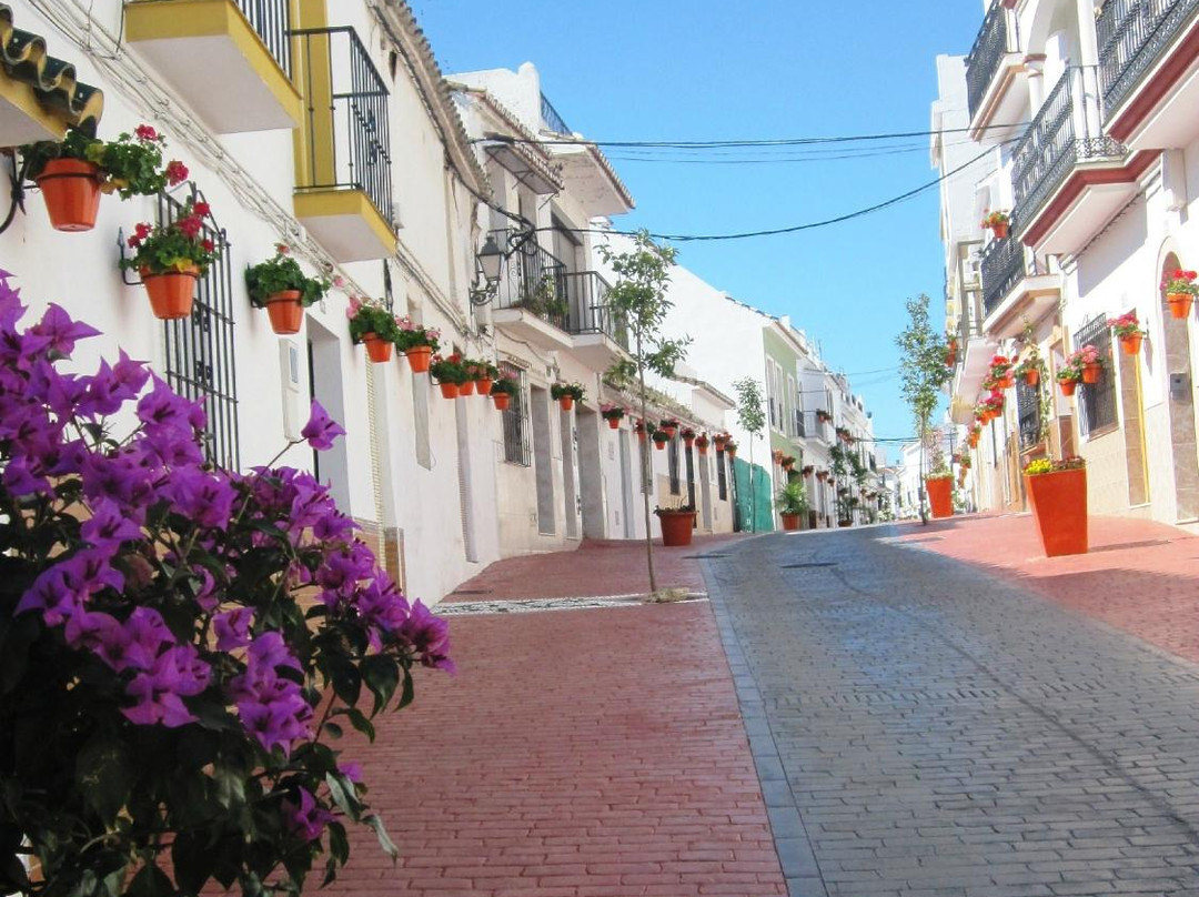 Centro Historico de Estepona景点图片