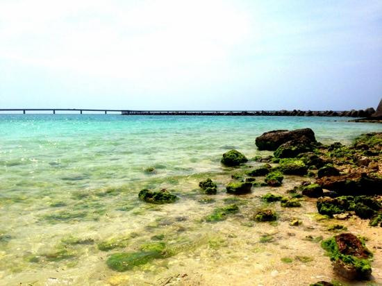 Painagama Beach景点图片