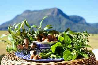 Wild Lime Cooking School at Worendo景点图片