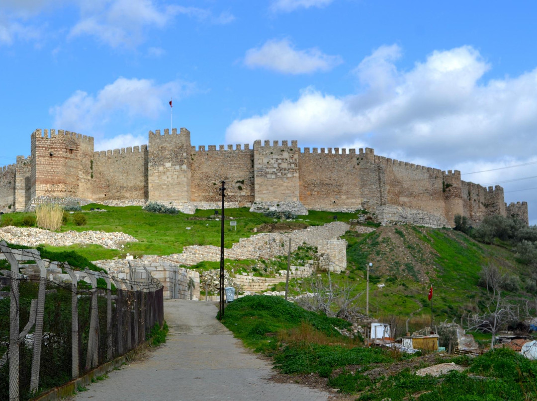 Ayasoluk Castle景点图片