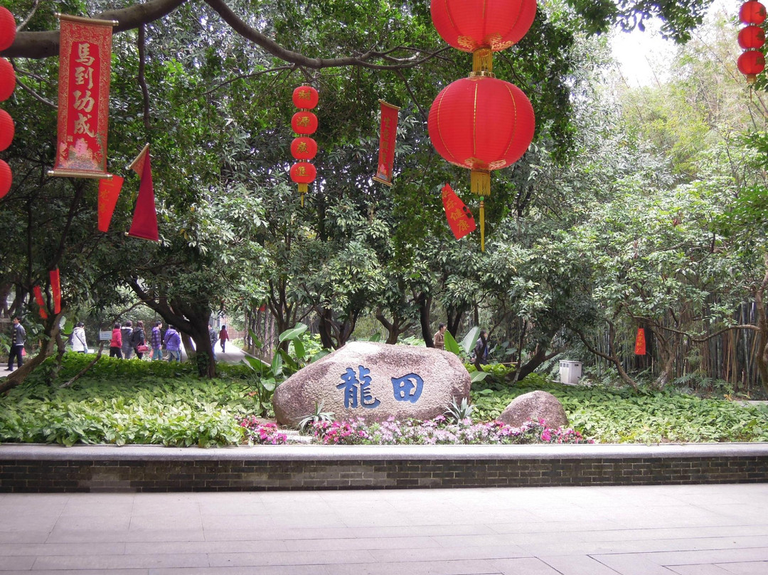 孙中山故居纪念馆-中山市必去景点