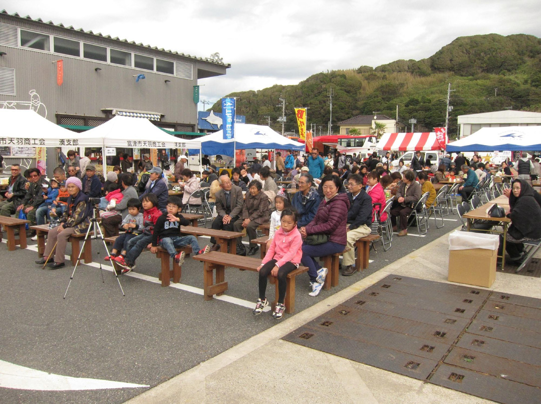 Hammers-富津市必去景点