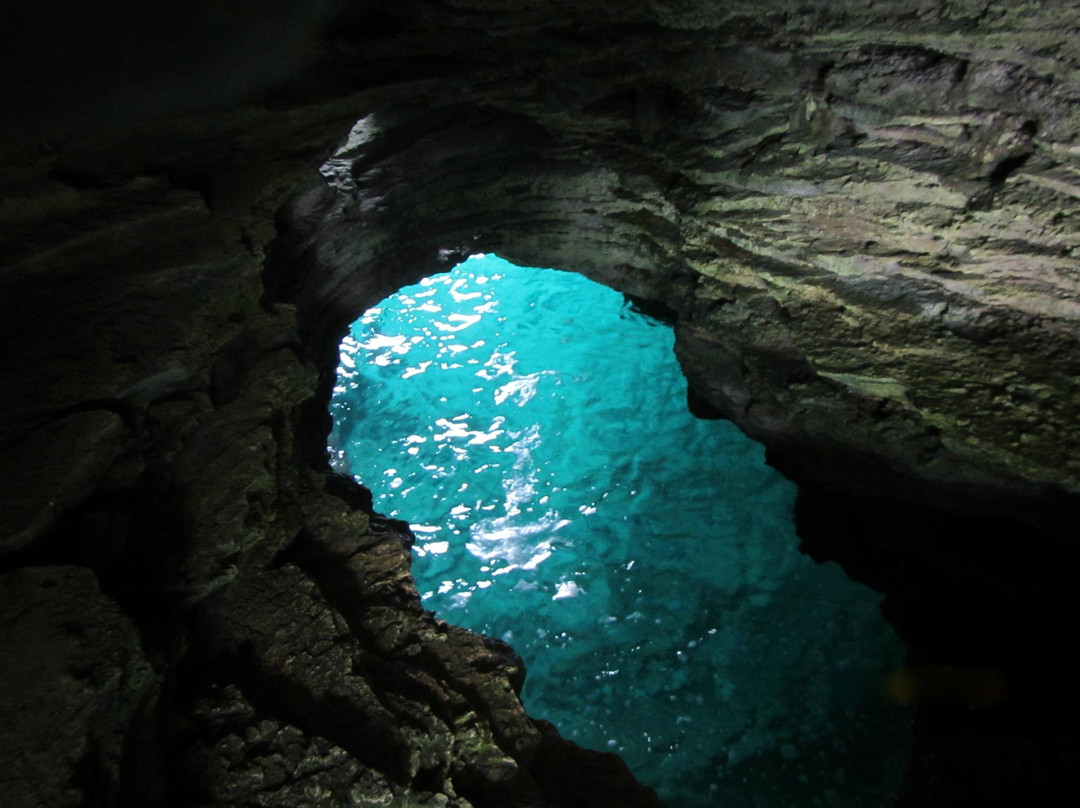 Admiralty House Park-汉密尔顿必去景点