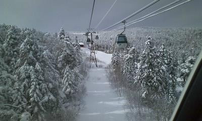 Palcall Tsumagoi Ski Resort景点图片