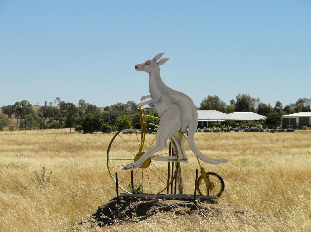 Animals on Bikes-Molong必去景点