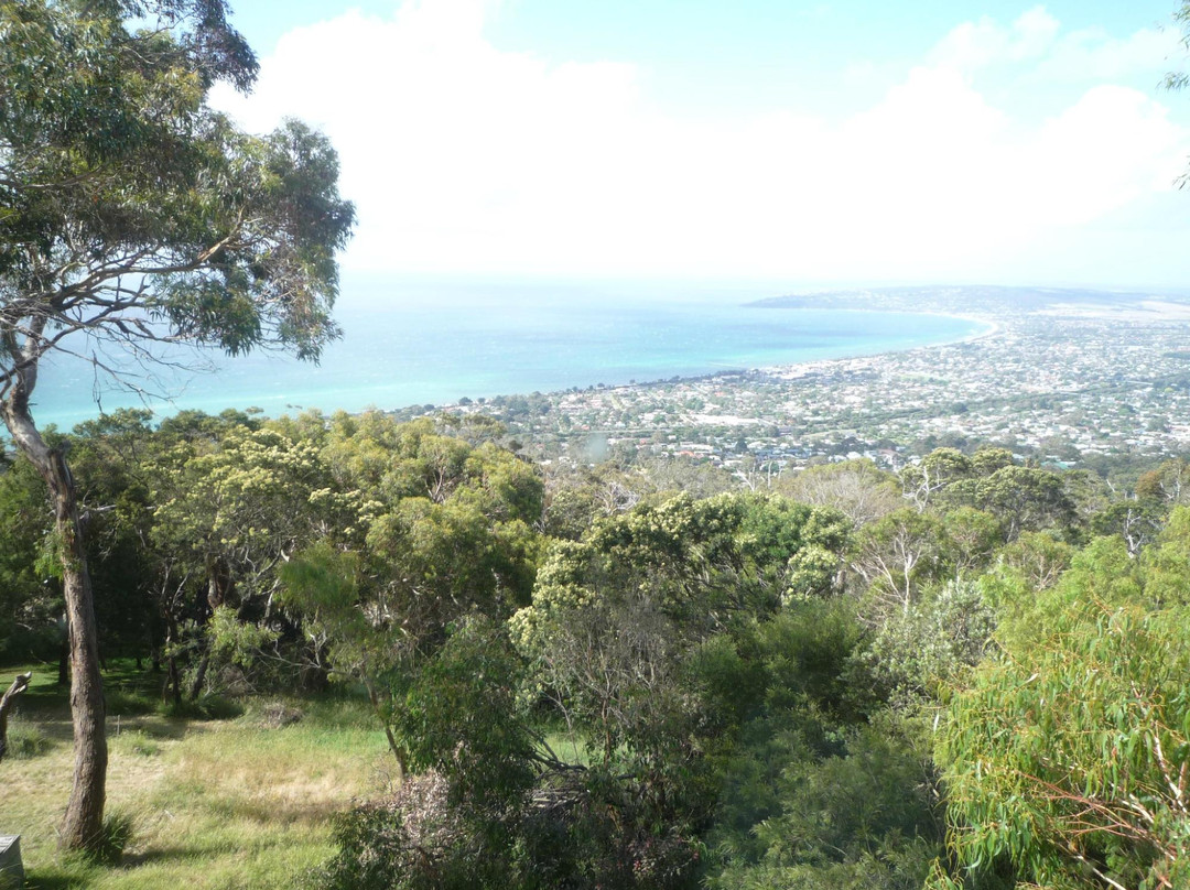 Northern Aspects主图