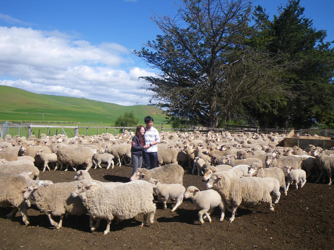 Tasmania I Drive-霍巴特必去景点
