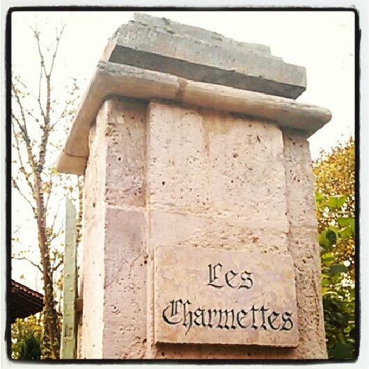 Les Charmettes-客卧